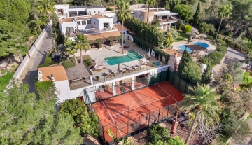 Resa Estates Paco for sale te koop finca paddel Ibiza air photo.jpg